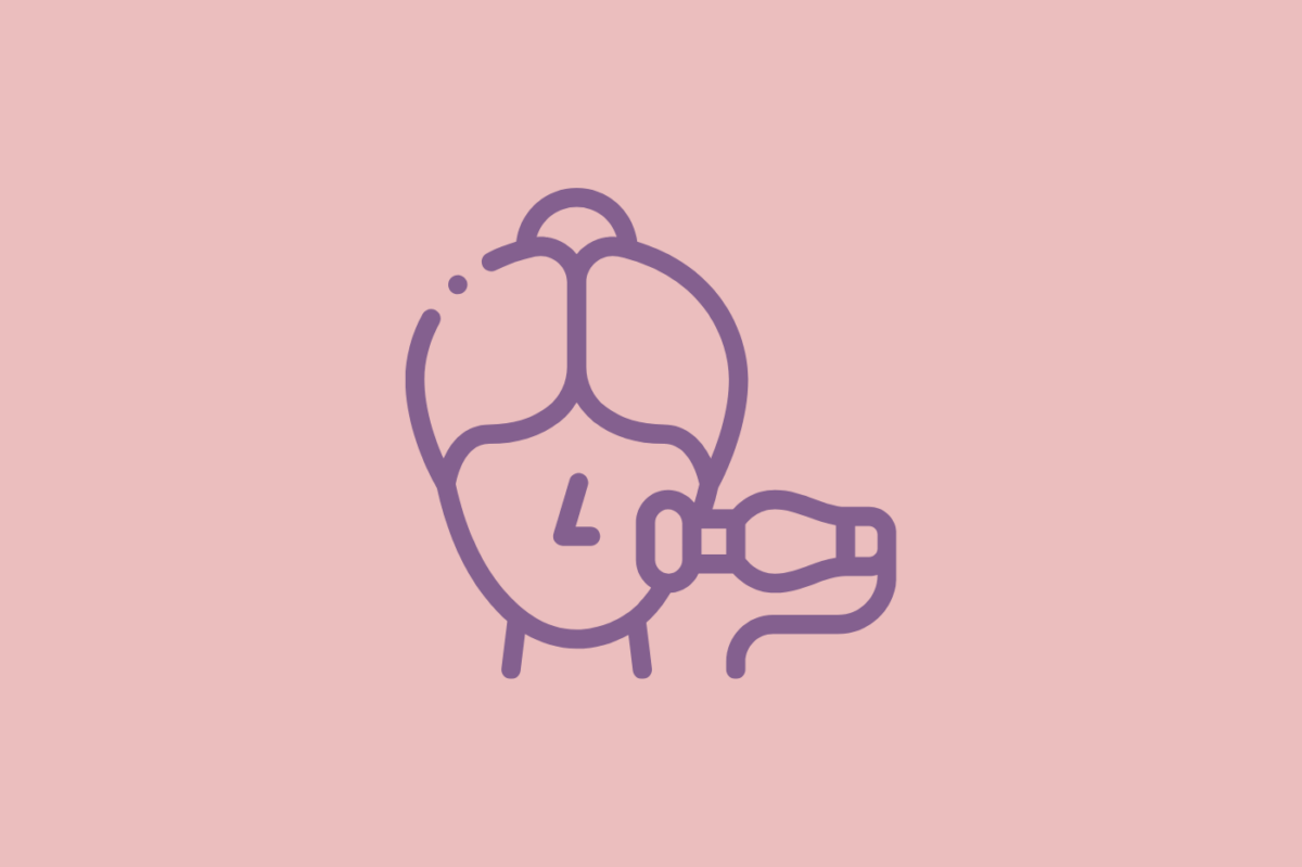 tuysarartma-1200x799.png